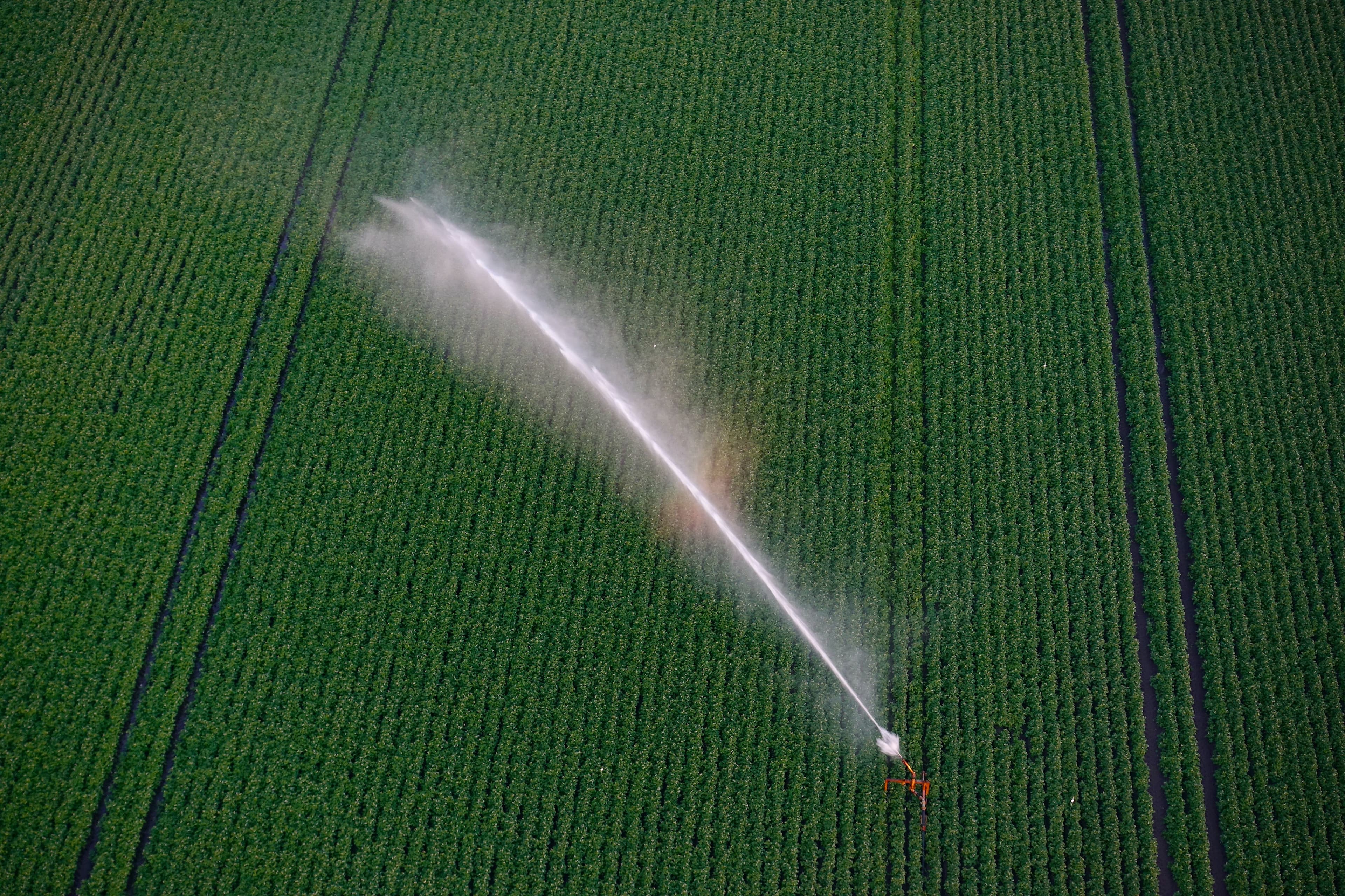 Sistema de irrigação agrícola — Carajás Automação